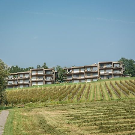 Апартаменти Wohnen Im Wein Еренгаузен Екстер'єр фото