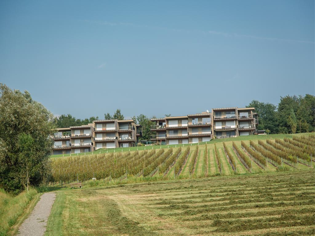 Апартаменти Wohnen Im Wein Еренгаузен Екстер'єр фото